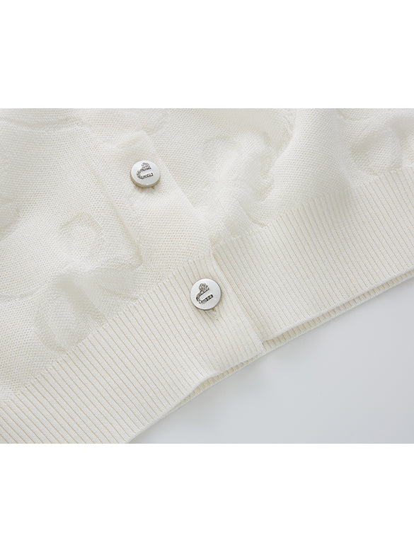 Ribbon Sheer Knit Cardigan