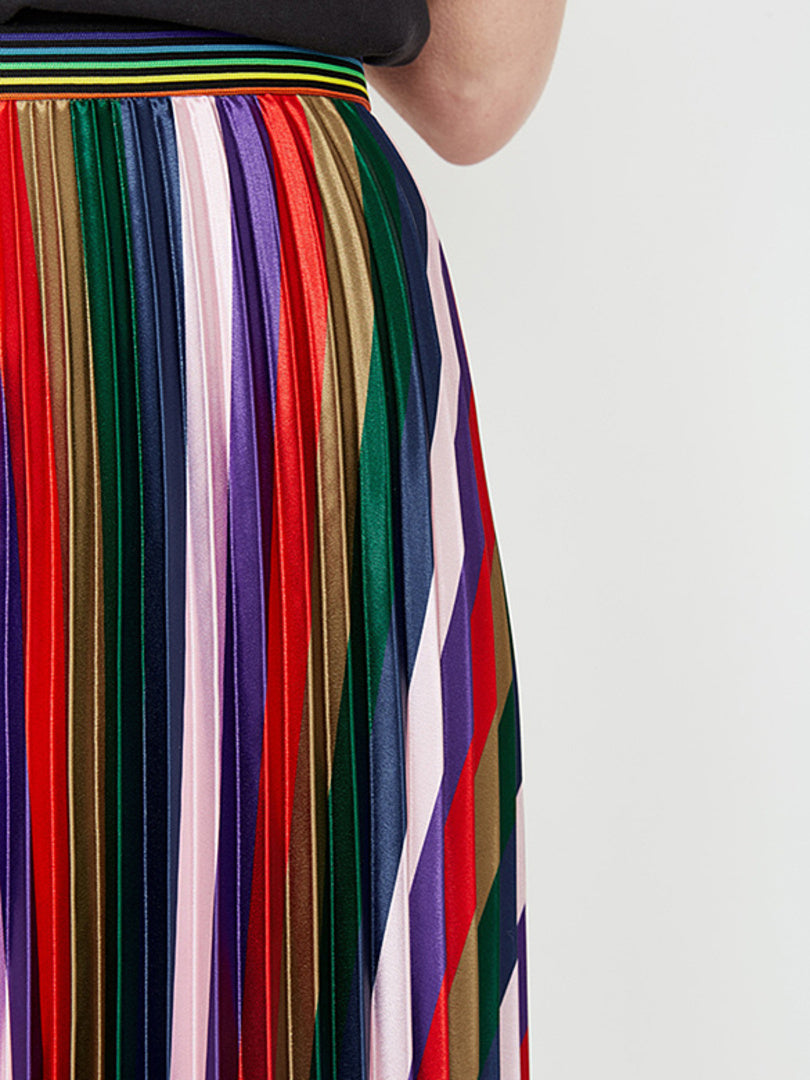 Multi Color Pleats Skirt