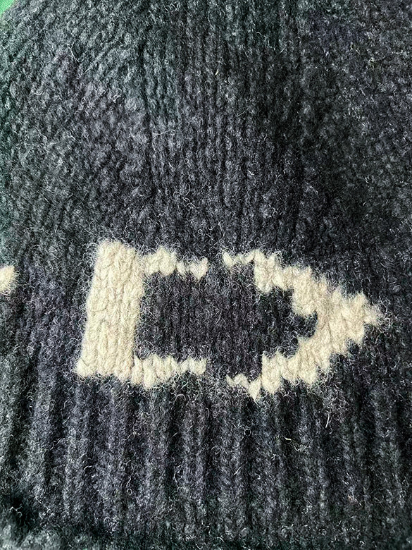 D Logo Knit Cap