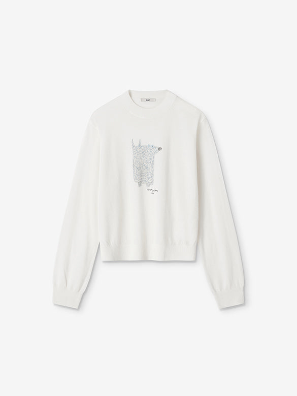 Design Knit Top