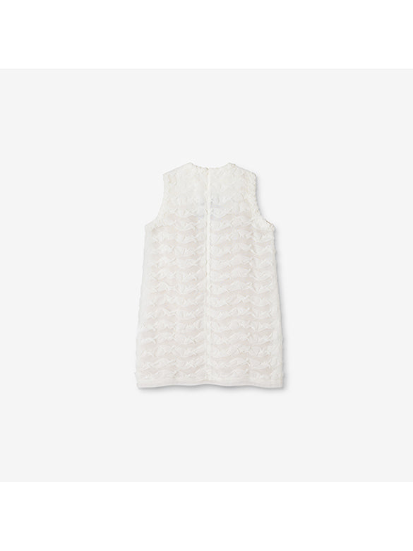 Bi-color Tie Sleeveless Dress