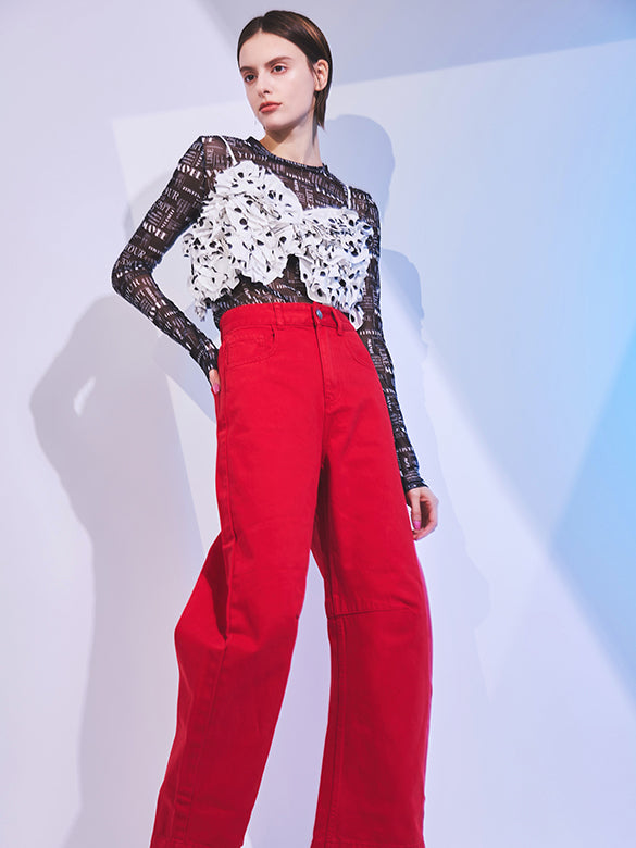 Printed Sheer Tulle Top