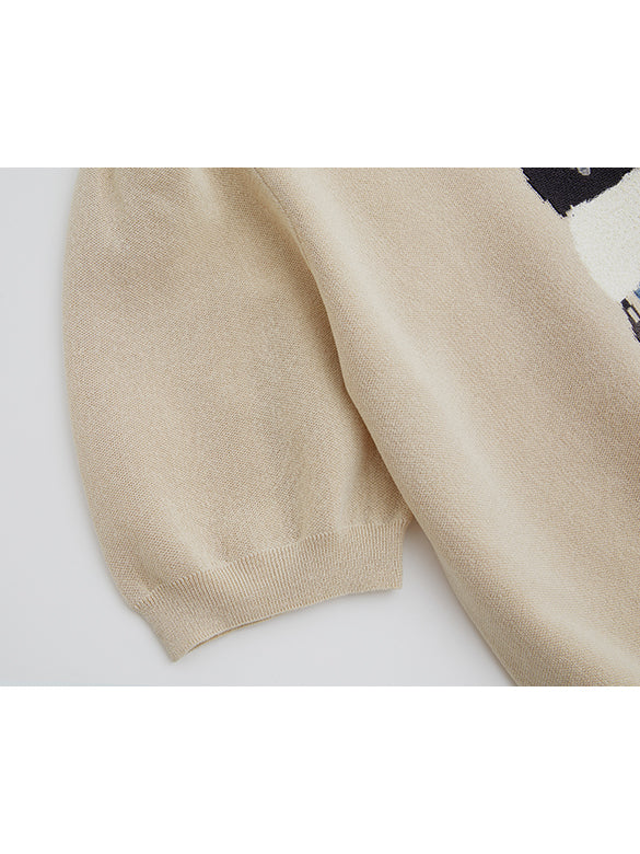 Embroidery Character Knit