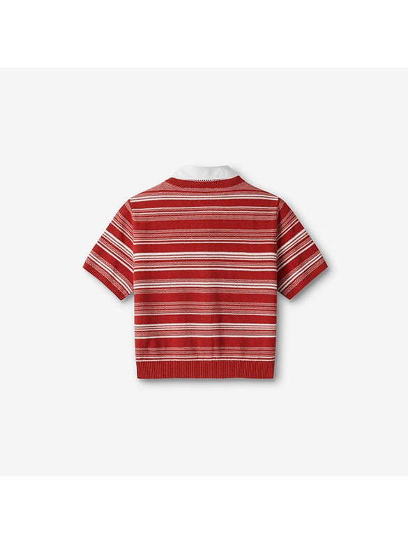 Random Pitch Stripe Polo Knit