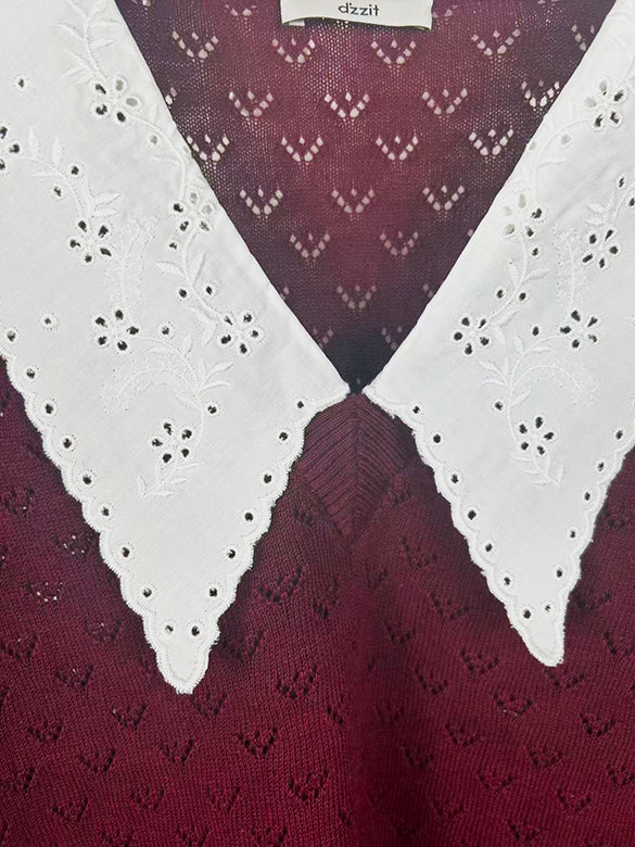 Lace Collar Knit Top