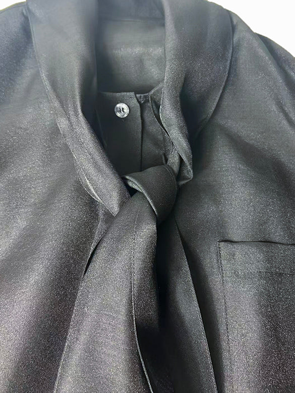 Puff-sleeves Bow-tie Sheer Blouse