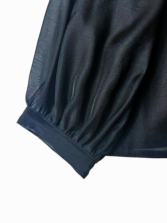 Puff-sleeves Bow-tie Sheer Blouse
