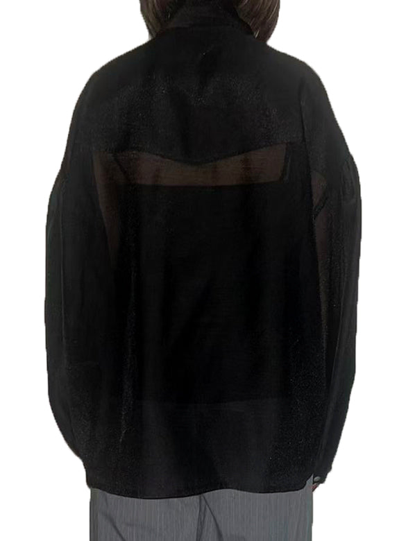 Puff-sleeves Bow-tie Sheer Blouse