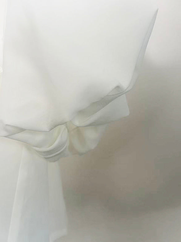 Puff-sleeves Ribbon Sheer Blouse