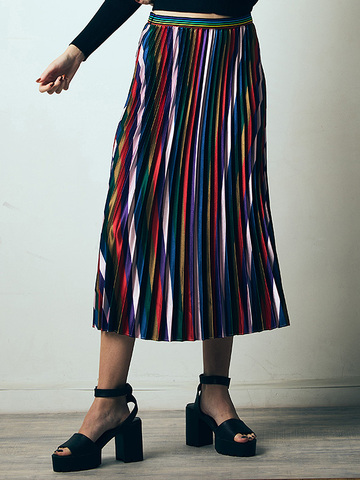 Multi Color Pleats Skirt