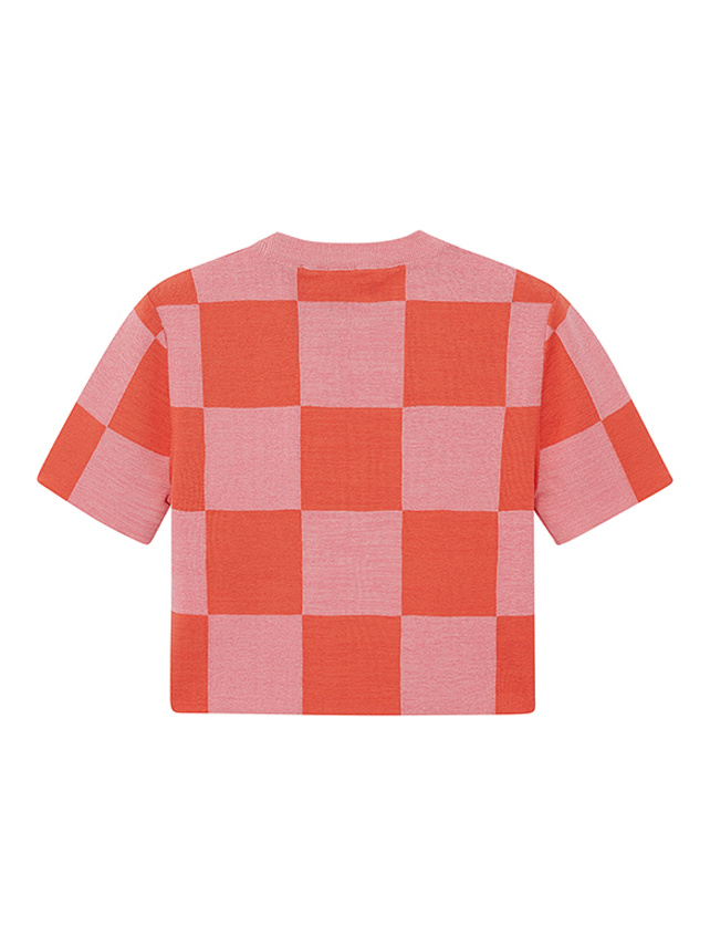 Summer Color checkered Knit Top