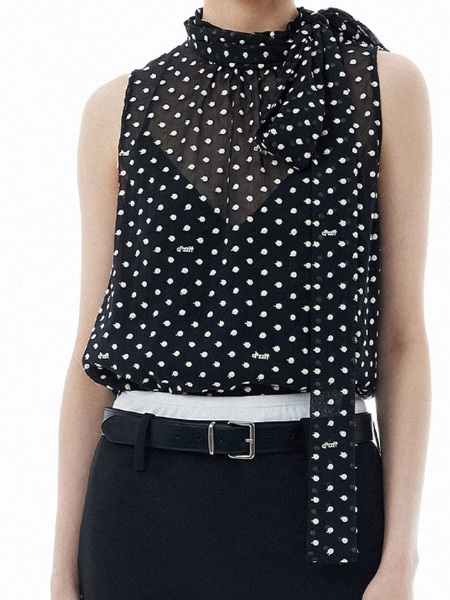 Polka Dot Embroidery Chiffon Bow-tie Top