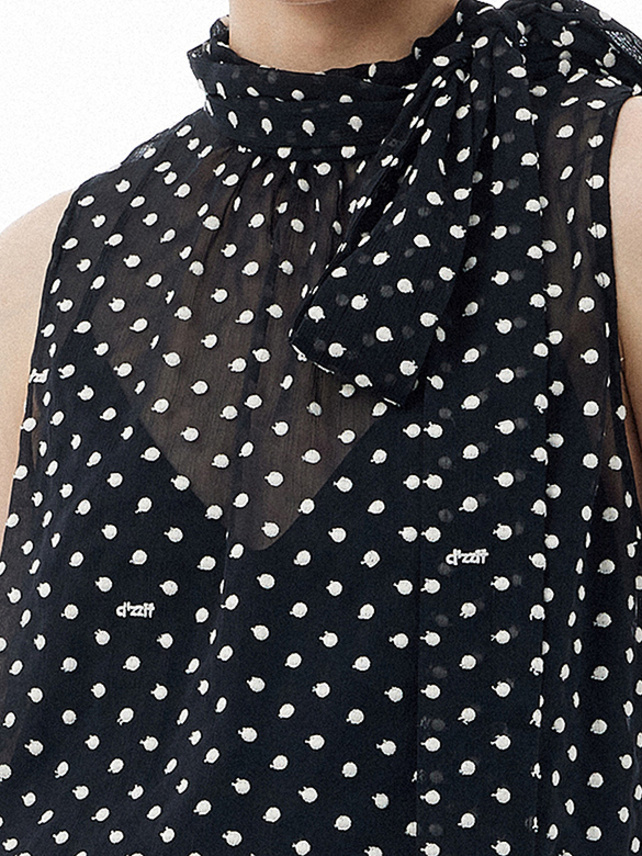 Polka Dot Embroidery Chiffon Bow-tie Top