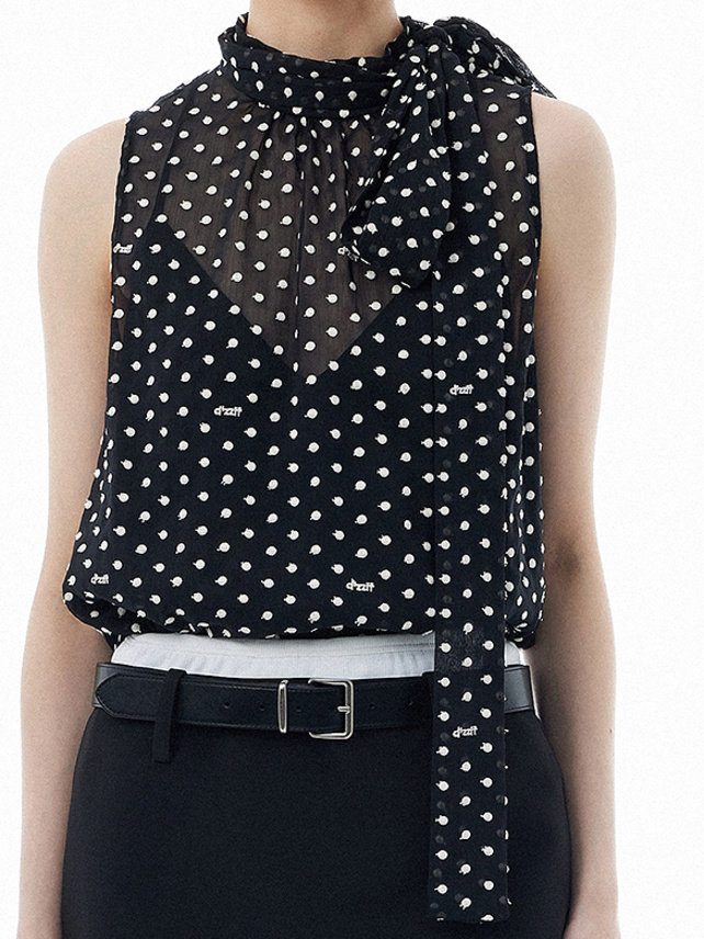 Polka Dot Embroidery Chiffon Bow-tie Top