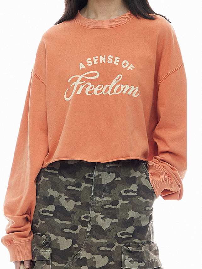 Vintage Washed Short Sweatshirt