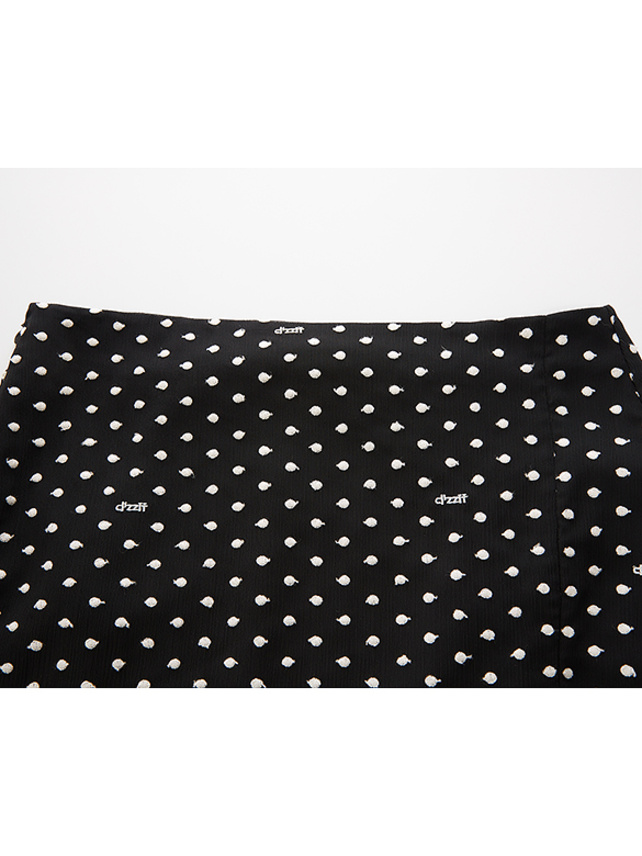 Polka Dot Embroidery Chiffon Skirt