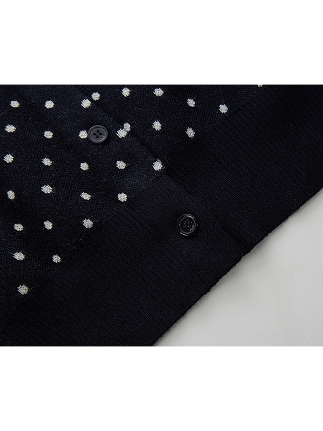 Embroidery Polka Dot Knit