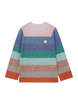 Multi Color Stripe Knit